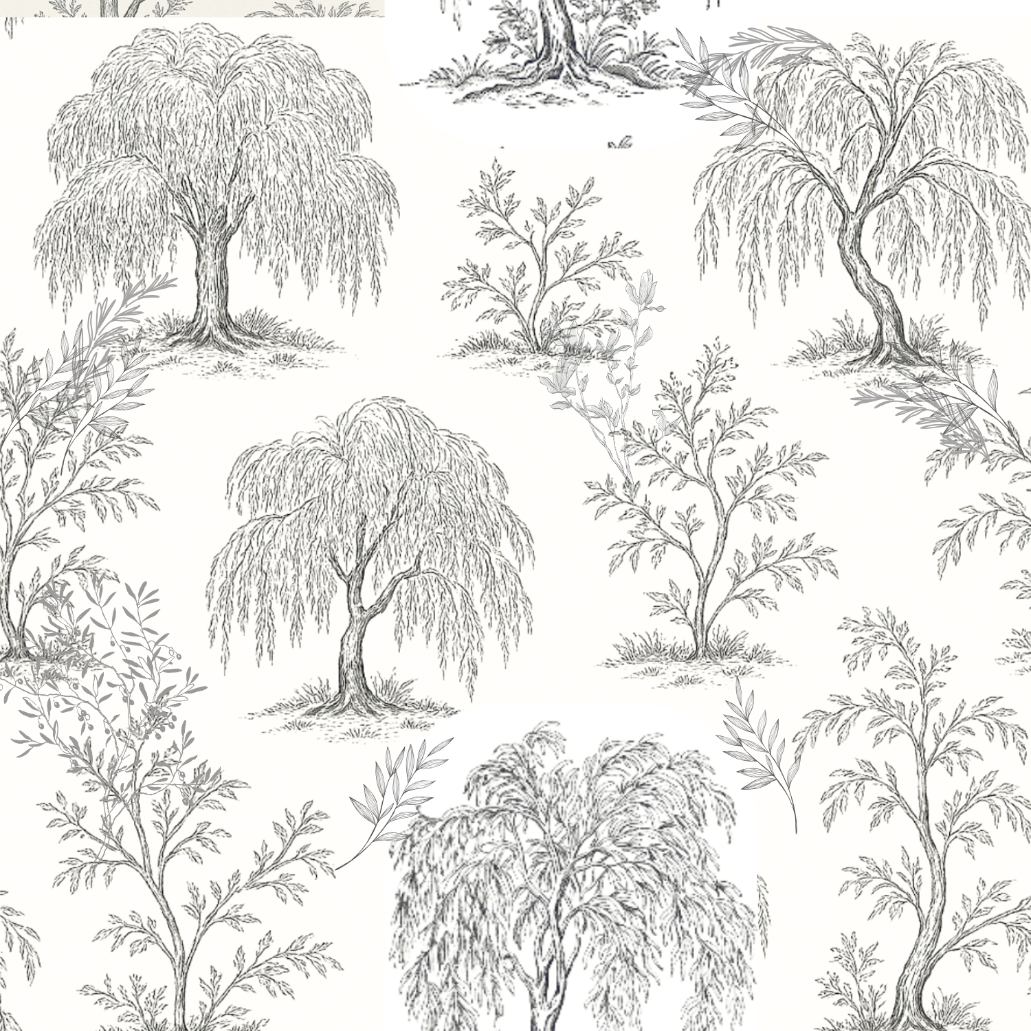 Willow